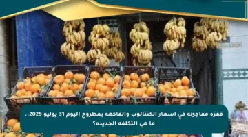 قفزة مفاجئة في أسعار الكنتالوب والفاكهة بمطروح اليوم 31 يوليو 2025.. ما هي التكلفة الجديدة؟